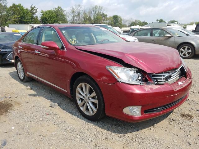 LEXUS ES 350 2010 jthbk1eg9a2386808