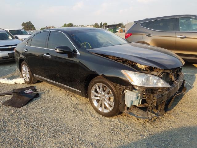 LEXUS ES 350 2010 jthbk1eg9a2387022