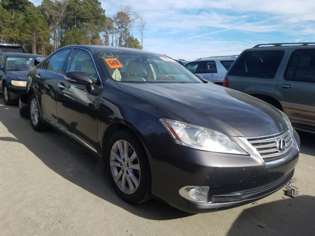 LEXUS ES 350 2010 jthbk1eg9a2387456