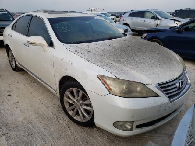 LEXUS ES 350 2010 jthbk1eg9a2402456