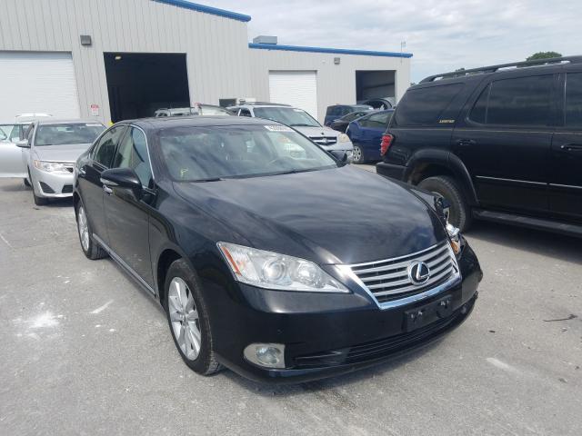 LEXUS ES 350 2010 jthbk1eg9a2407060