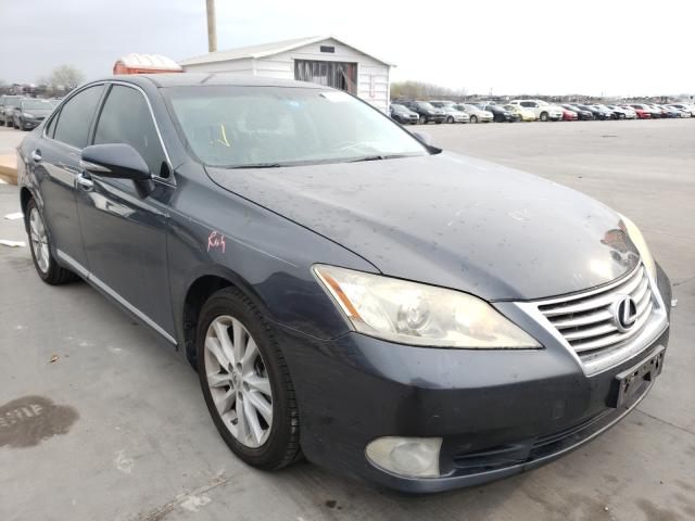 LEXUS ES 350 2010 jthbk1eg9a2407463