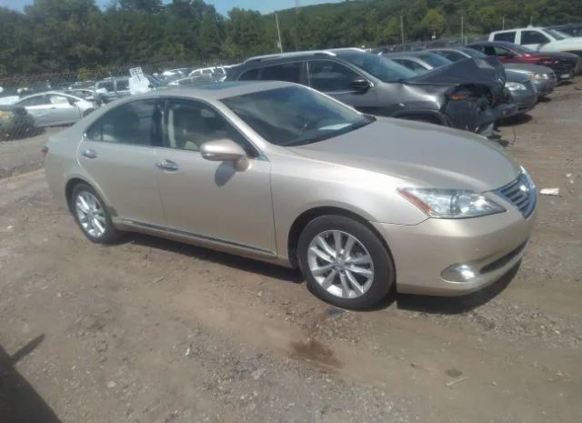 LEXUS ES 350 2010 jthbk1eg9a2408533