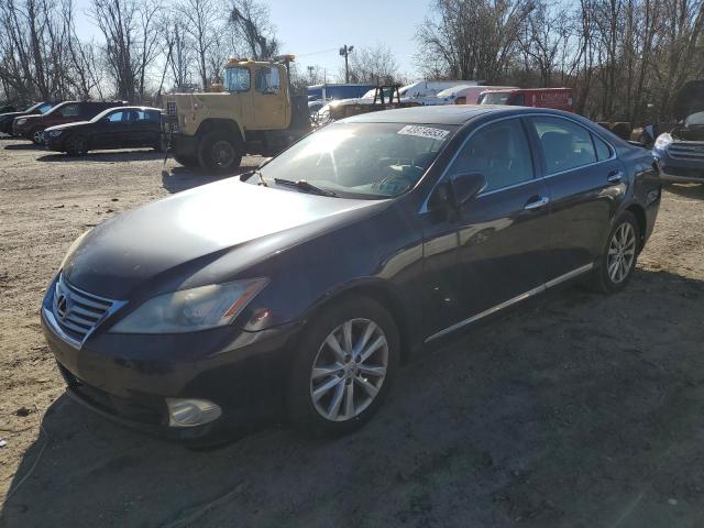 LEXUS ES 350 2010 jthbk1eg9a2410332