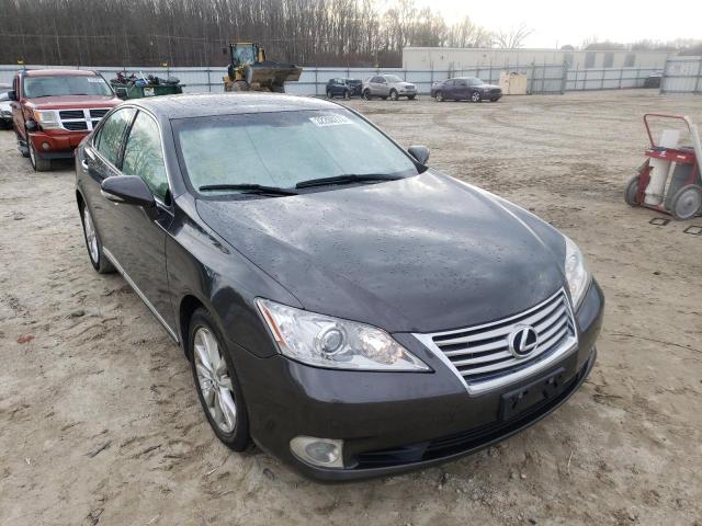 LEXUS ES 350 2010 jthbk1eg9a2413148