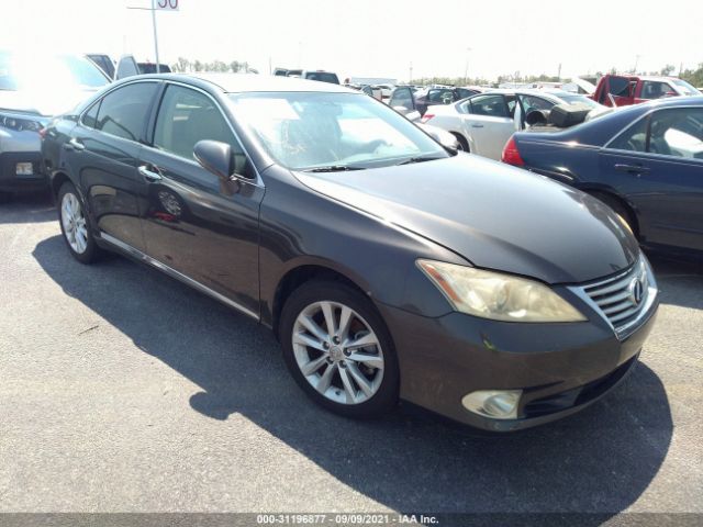 LEXUS ES 350 2010 jthbk1eg9a2413540