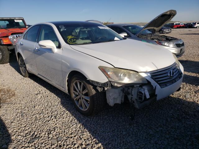 LEXUS ES 350 2011 jthbk1eg9b2419047