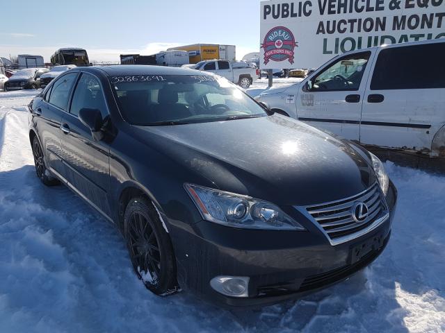 LEXUS ES 350 2011 jthbk1eg9b2446233