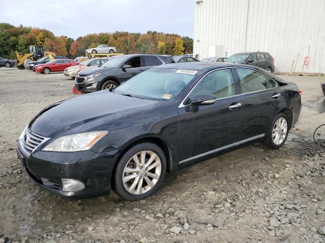 LEXUS ES 350 2011 jthbk1eg9b2459497