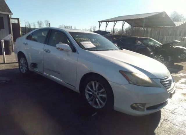 LEXUS ES 350 2010 jthbk1egxa2342607