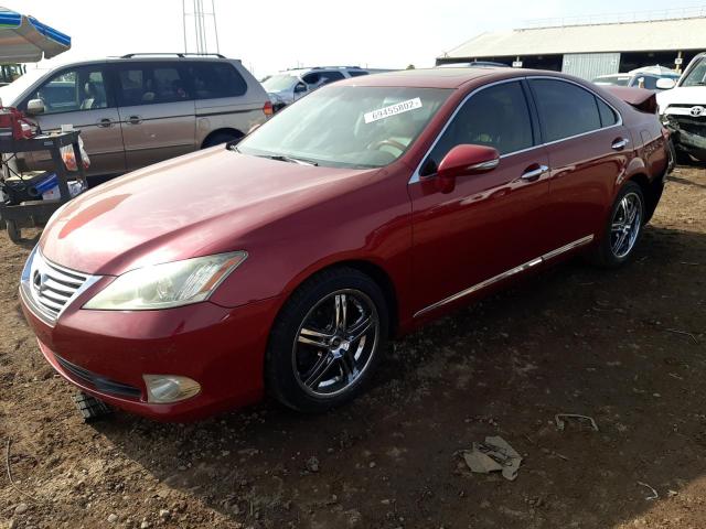 LEXUS ES 350 2010 jthbk1egxa2344230