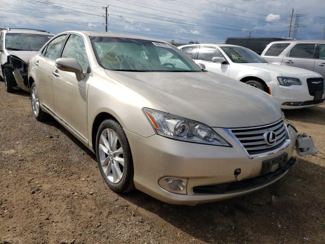 LEXUS ES 350 2010 jthbk1egxa2346530