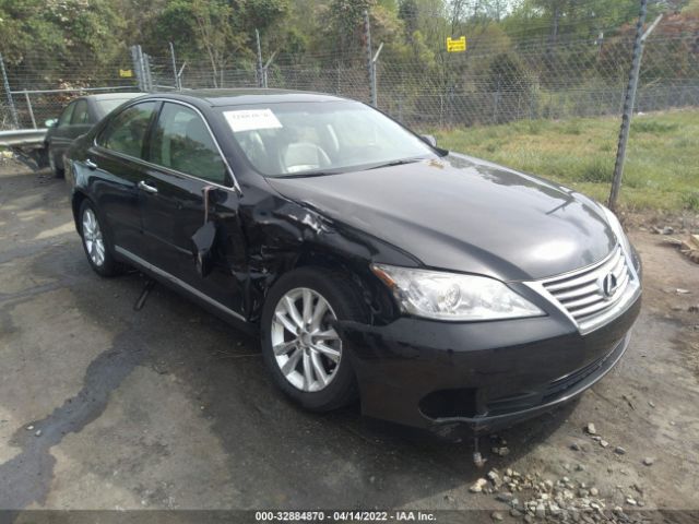 LEXUS ES 350 2010 jthbk1egxa2350285