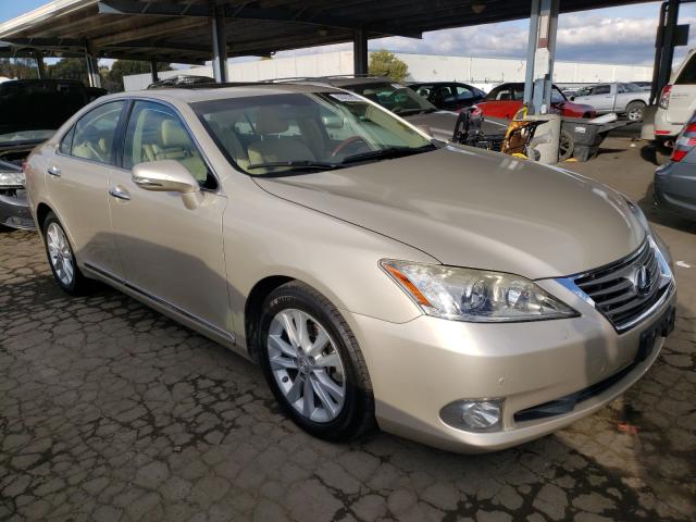 LEXUS ES 350 2010 jthbk1egxa2350982