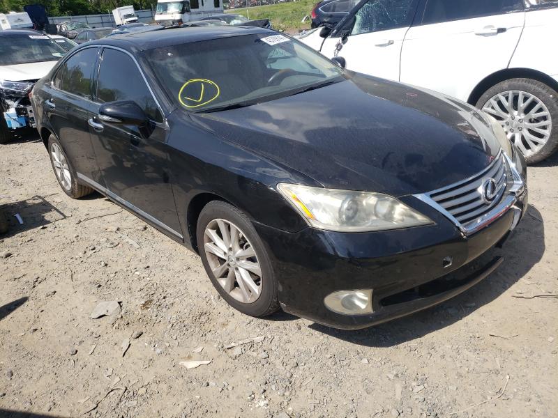 LEXUS ES 350 2010 jthbk1egxa2355082