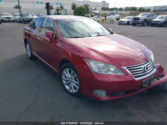 LEXUS ES 350 2010 jthbk1egxa2355793