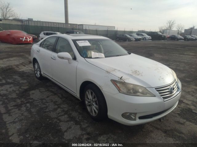 LEXUS ES 350 2010 jthbk1egxa2356510