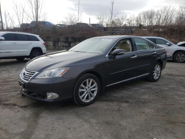 LEXUS ES 350 2010 jthbk1egxa2360279