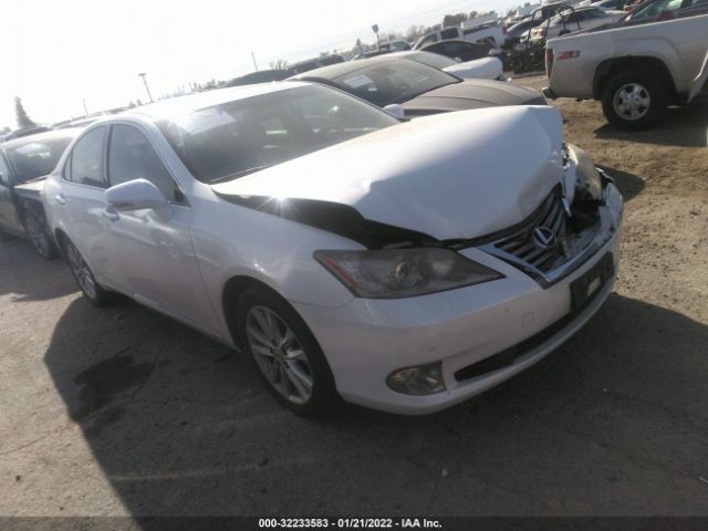 LEXUS ES 350 2010 jthbk1egxa2360489