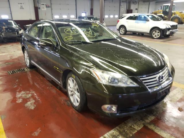 LEXUS ES 350 2010 jthbk1egxa2362095