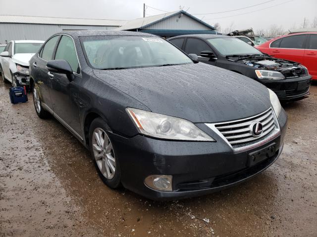 LEXUS ES 350 2010 jthbk1egxa2363943