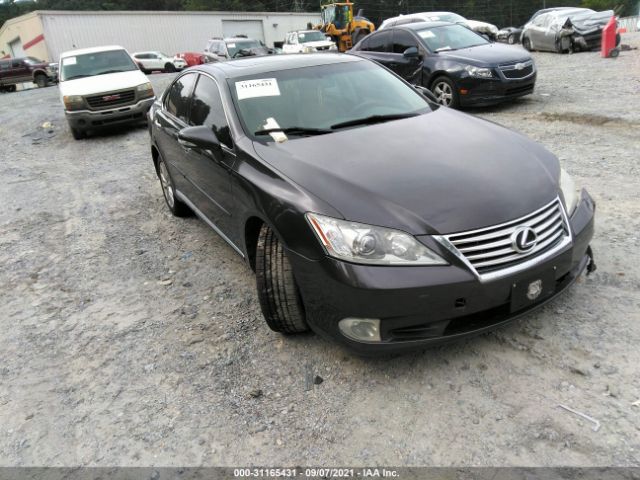 LEXUS ES 350 2010 jthbk1egxa2364400