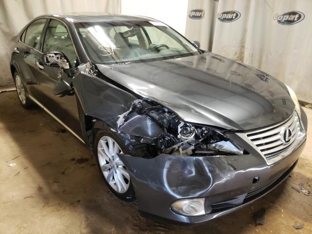 LEXUS ES 350 2010 jthbk1egxa2365501