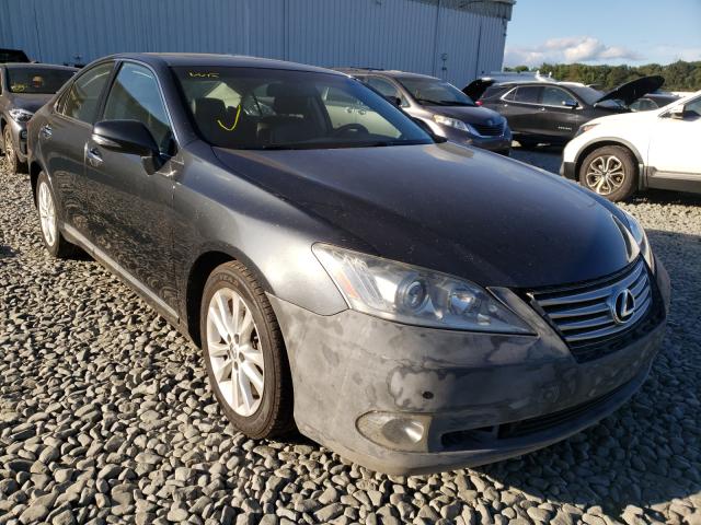 LEXUS ES 350 2010 jthbk1egxa2366440