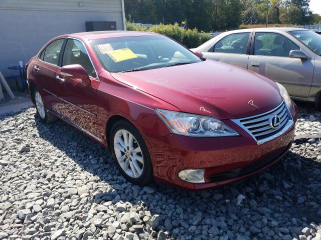 LEXUS ES 350 2010 jthbk1egxa2369158