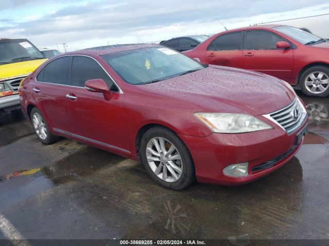 LEXUS ES 350 2010 jthbk1egxa2369189