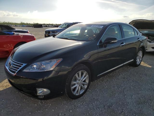 LEXUS ES 350 2010 jthbk1egxa2369421