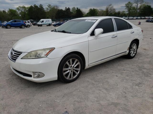 LEXUS ES 350 2010 jthbk1egxa2373081