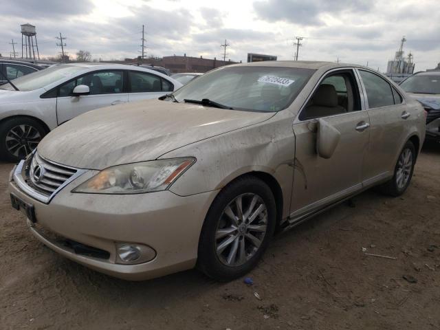 LEXUS ES350 2010 jthbk1egxa2374683