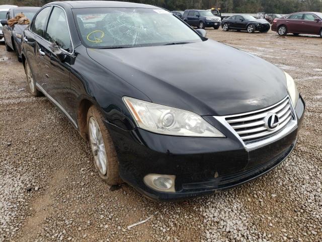 LEXUS ES 350 2010 jthbk1egxa2375798