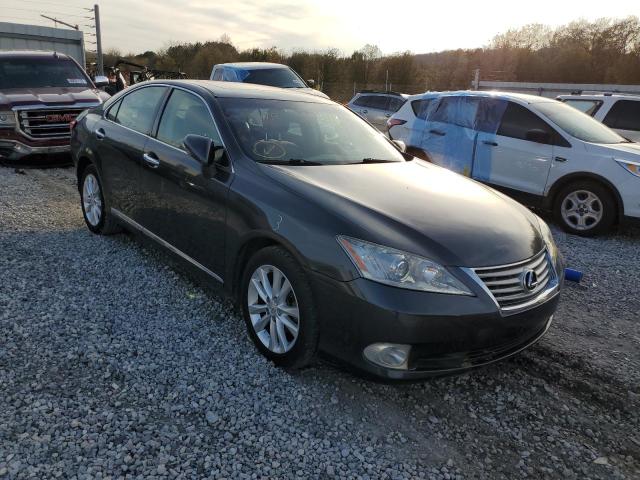 LEXUS NULL 2010 jthbk1egxa2377695