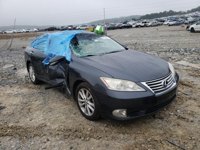 LEXUS ES 350 2010 jthbk1egxa2379320