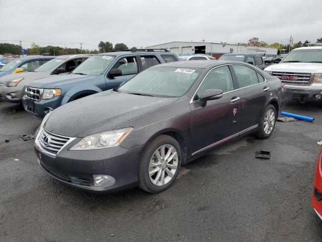 LEXUS ES 350 2010 jthbk1egxa2379592