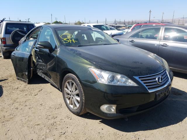 LEXUS ES 350 2010 jthbk1egxa2379947