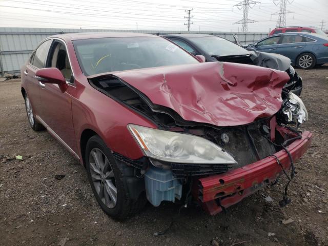 LEXUS ES 350 2010 jthbk1egxa2381343