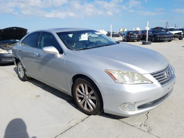 LEXUS ES 350 2010 jthbk1egxa2381391