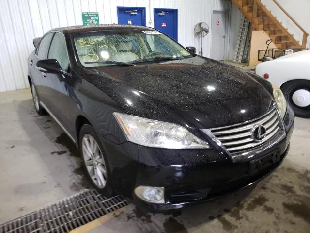 LEXUS ES 350 2010 jthbk1egxa2382850