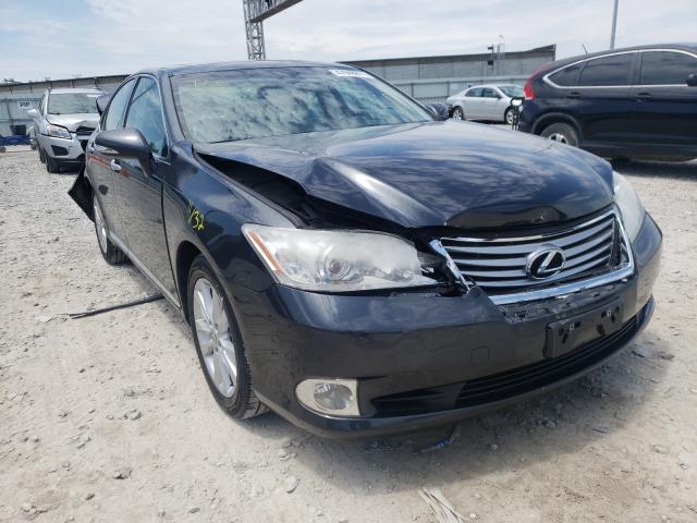 LEXUS ES 350 2010 jthbk1egxa2384405