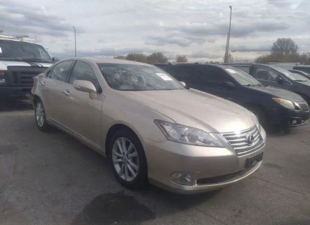 LEXUS ES 350 2010 jthbk1egxa2384551