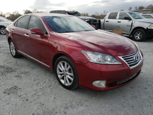 LEXUS ES 350 2010 jthbk1egxa2385392