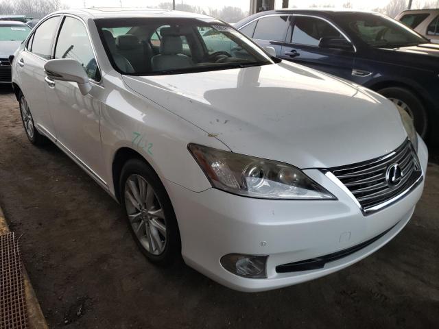 LEXUS ES 350 2010 jthbk1egxa2385523