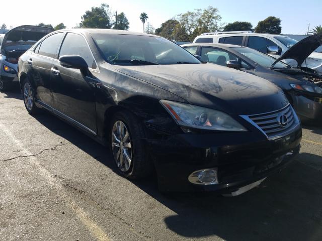 LEXUS ES 350 2010 jthbk1egxa2388020