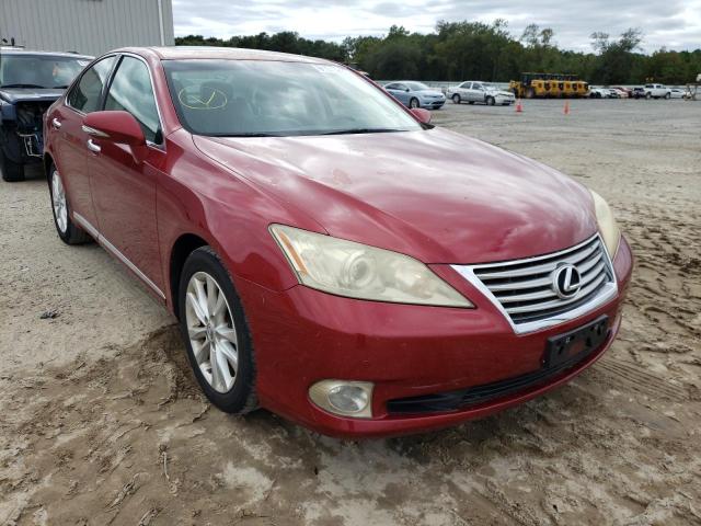 LEXUS ES 350 2010 jthbk1egxa2389166