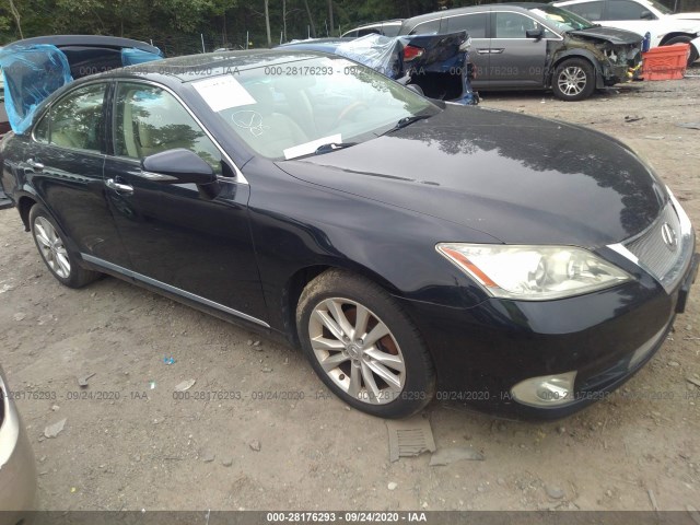 LEXUS ES 350 2010 jthbk1egxa2390768