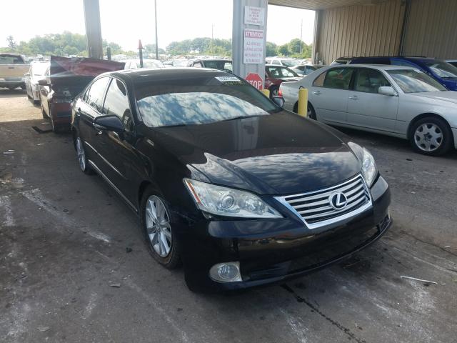 LEXUS ES 350 2010 jthbk1egxa2391015