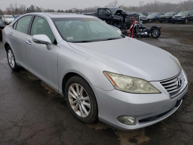 LEXUS ES 350 2010 jthbk1egxa2392388